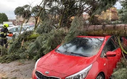Пошкоджені автомобілі та повалені дерева. Чехією пронісся потужний ураган