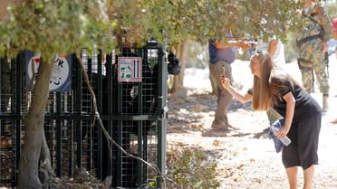 Хижаки змінили прописку / © Reuters