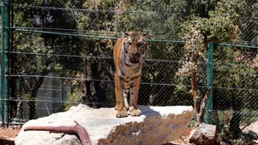 Хижаки змінили прописку / © Reuters