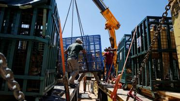 Хижаки змінили прописку / © Reuters
