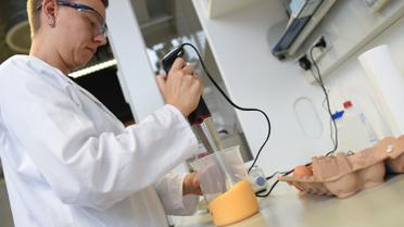 Яйця,кури,перевірка яєць в лаболаторії_26 / © Reuters