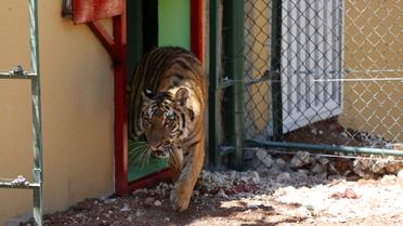 Хижаки змінили прописку / © Reuters