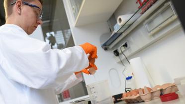 Яйця,кури,перевірка яєць в лаболаторії_29 / © Reuters