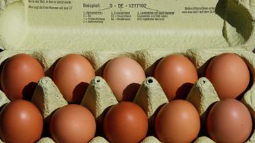 Яйця,кури,перевірка яєць в лаболаторії_4 / © Reuters