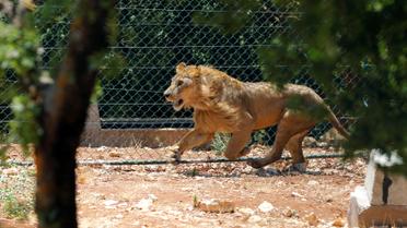 Хижаки змінили прописку / © Reuters