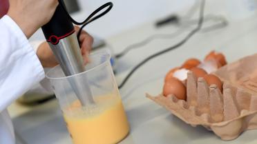 Яйця,кури,перевірка яєць в лаболаторії_24 / © Reuters