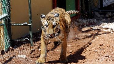 Хижаки змінили прописку / © Reuters