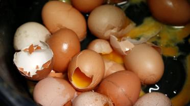 Яйця,кури,перевірка яєць в лаболаторії_21 / © Reuters