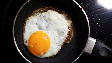 Яйця,кури,перевірка яєць в лаболаторії_1 / © Reuters