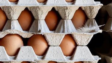 Яйця,кури,перевірка яєць в лаболаторії_10 / © Reuters