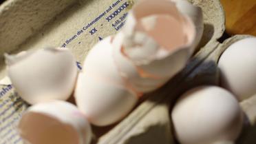 Яйця,кури,перевірка яєць в лаболаторії_2 / © Reuters