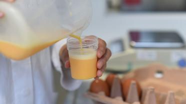 Яйця,кури,перевірка яєць в лаболаторії_25 / © Reuters