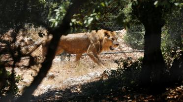 Хижаки змінили прописку / © Reuters