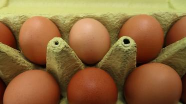 Яйця,кури,перевірка яєць в лаболаторії_5 / © Reuters