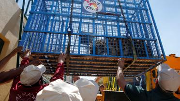 Хижаки змінили прописку / © Reuters