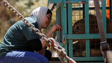 Хижаки змінили прописку / © Reuters
