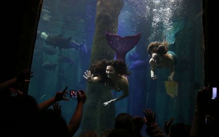 Сказочные создания. Reuters показал удивительные фото плавания русалок в Бразилии