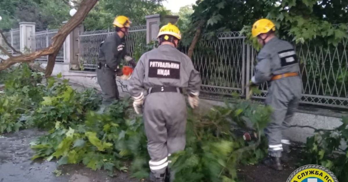 На Троєщині під час грози дерево впало на намет з людьми