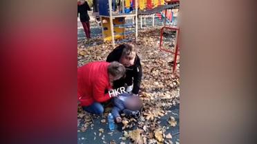 У Кривому Розі на дитмайданчику на дівчинку впало дерево 