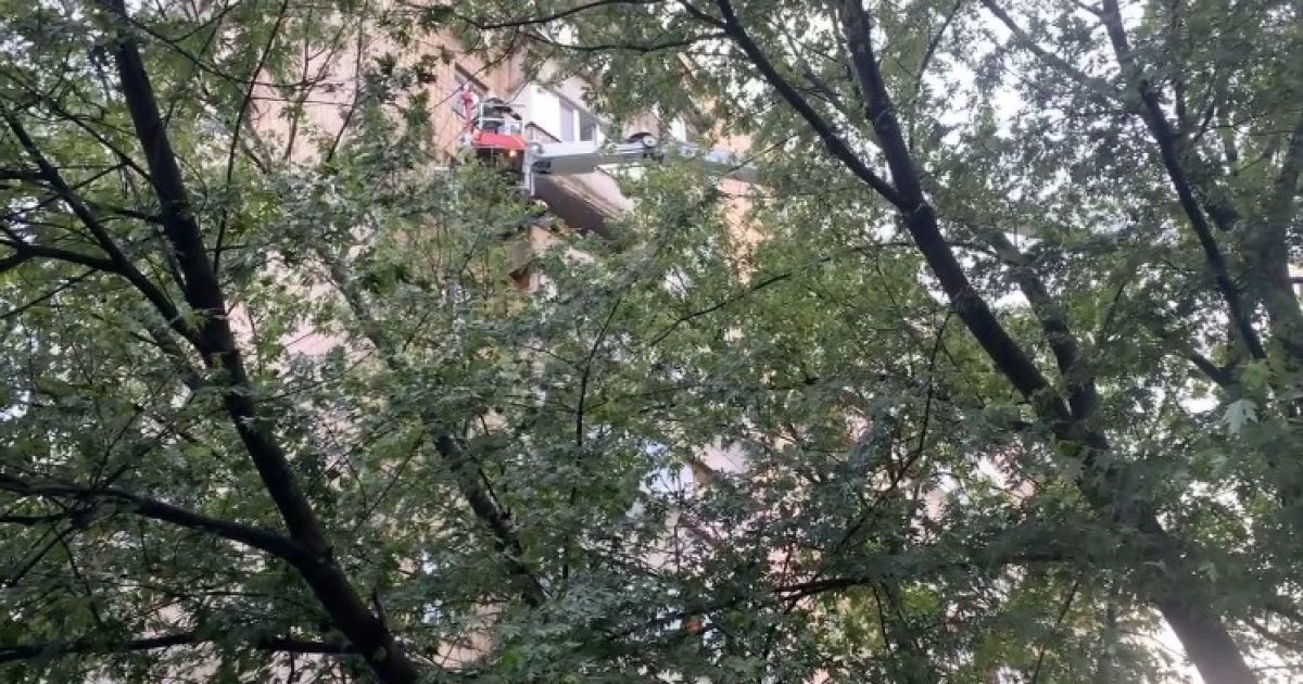 Фото: magnolia-tv.com