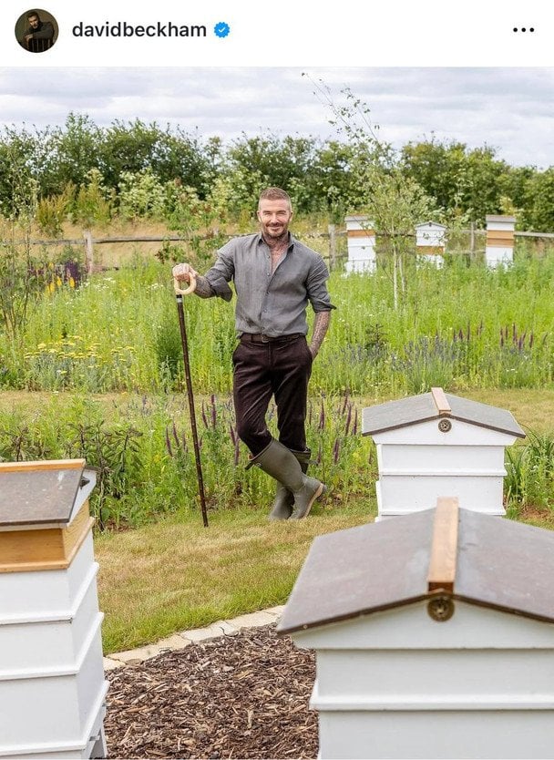 Девід Бекхем / © Instagram Девіда Бекхема