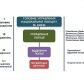 Від Києва до села: як працюватиме реформована Національна поліція. Інфографіка