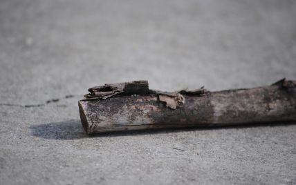 На Прикарпатті свекруха палицею побила невістку, бо вона не дозволяла їй жити з онуками