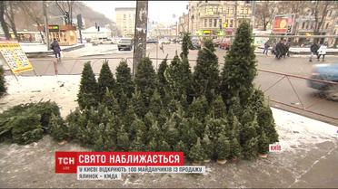 В Киеве открываются елочные базары