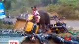 В Індії слон, якого привели на фестиваль розважати людей, вирвався на волю і потрощив авто