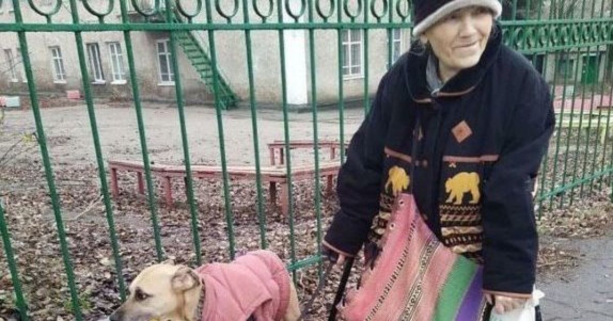 Пес-помічник: у Запоріжжі собака носить сумки своєї старенької господині