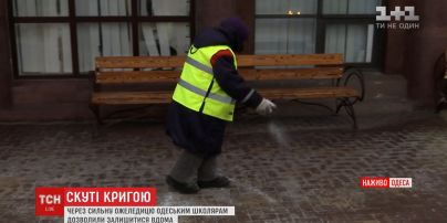 Одеським школярам через непогоду дозволили не приходити на уроки
