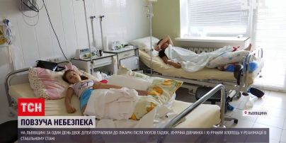 Новости Украины: двое детей из Львовской области оказались в реанимации - их укусили змеи