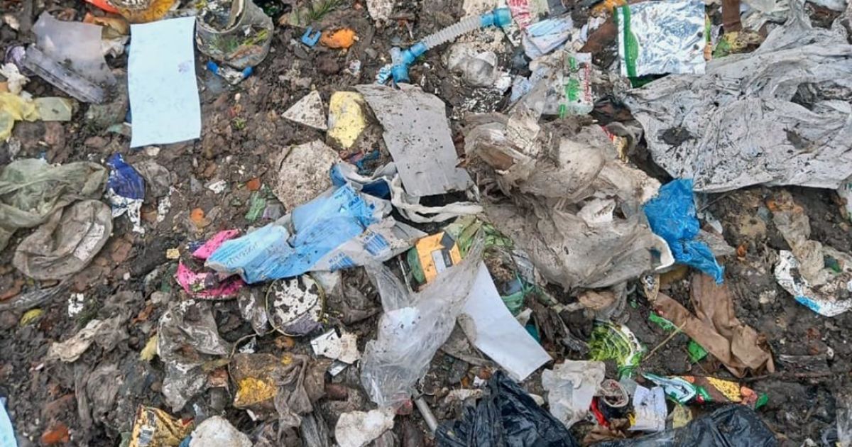 Сміття у Житомирській області_1 / © Головне управління Національної поліції в Житомирській області