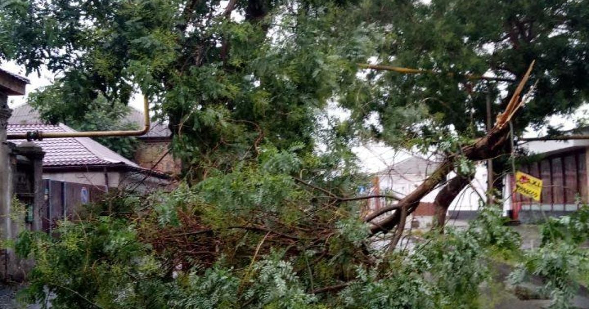 Фото: В’ячеслав Малий