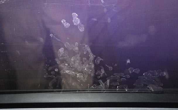 Відбитки рук дівчинки на склі. Фото: поліція Марани