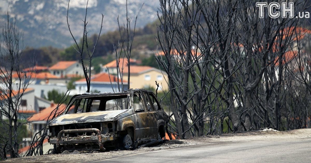 Пожежа знищила тисячі гектарів лісу