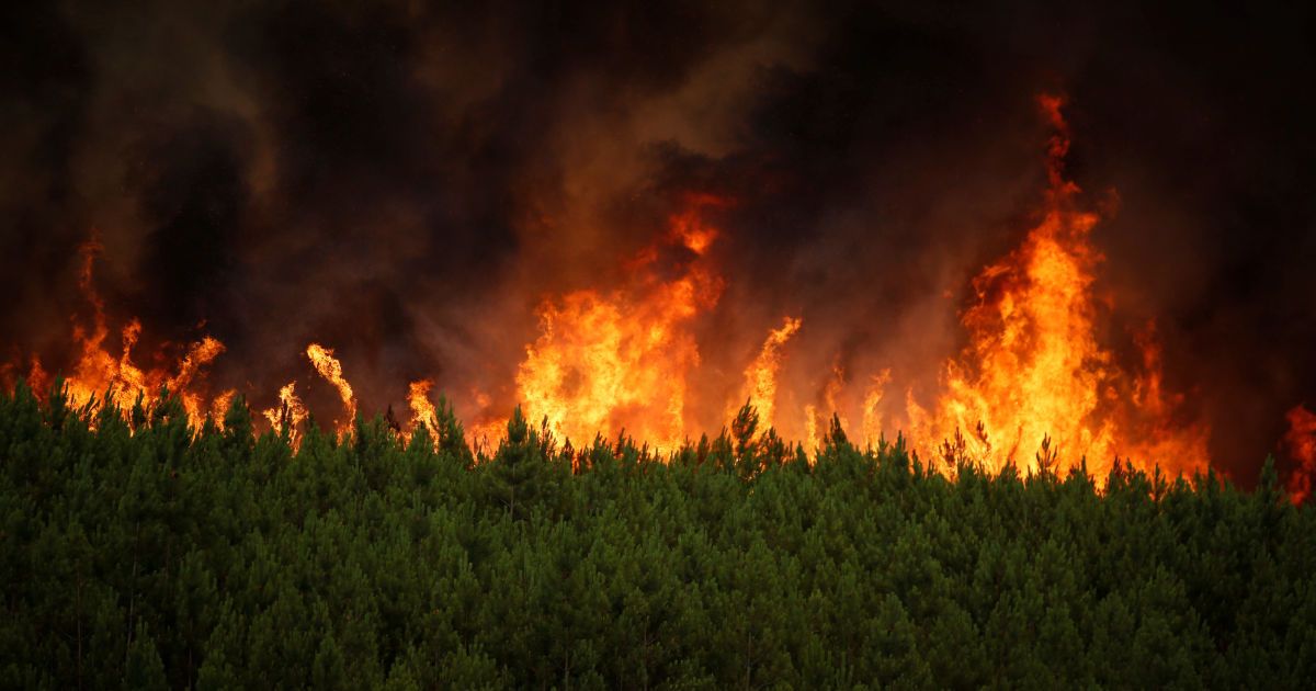 Рятувальники попередили українців про надзвичайну пожежну небезпеку