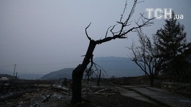Пожежа в Канаді_10 / © Reuters