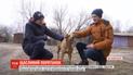 В Житомире подросток спас собаку, провалившегося под лед
