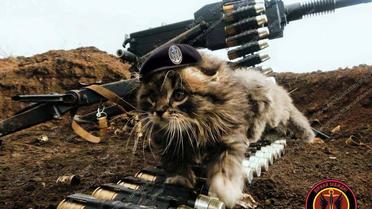 Наименьшие боевые побратимы / © facebook.com/theministryofdefence.ua