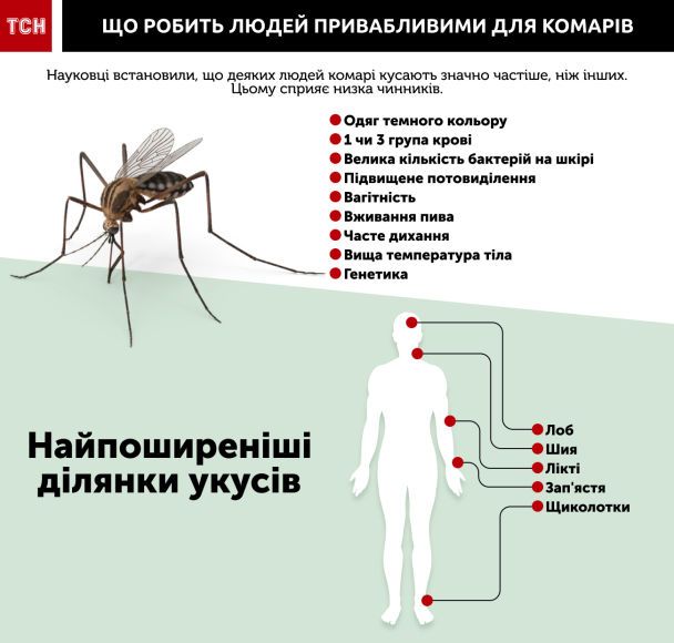  / © tsn.ua