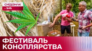 Современное коноплеводство! Какие уникальные изделия представлены на фестивале на Сумщине?