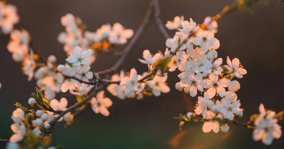 Який сьогодні, 6 квітня, день ангела