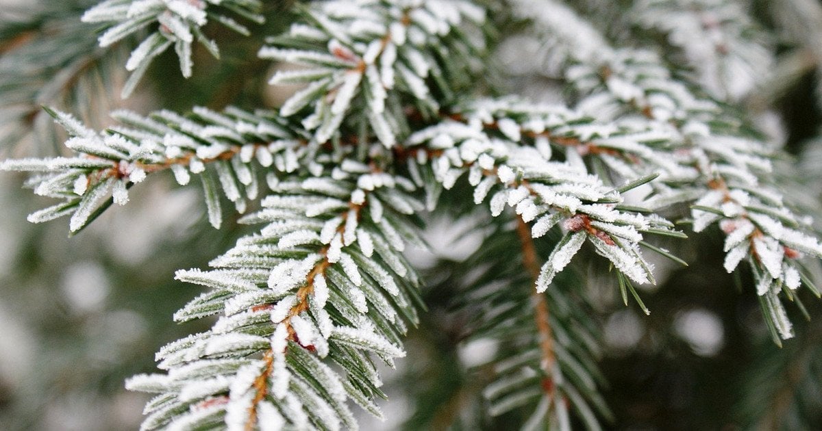 Синоптики прогнозують зміну погоди