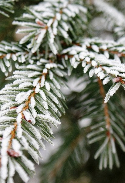 Синоптики прогнозують зміну погоди