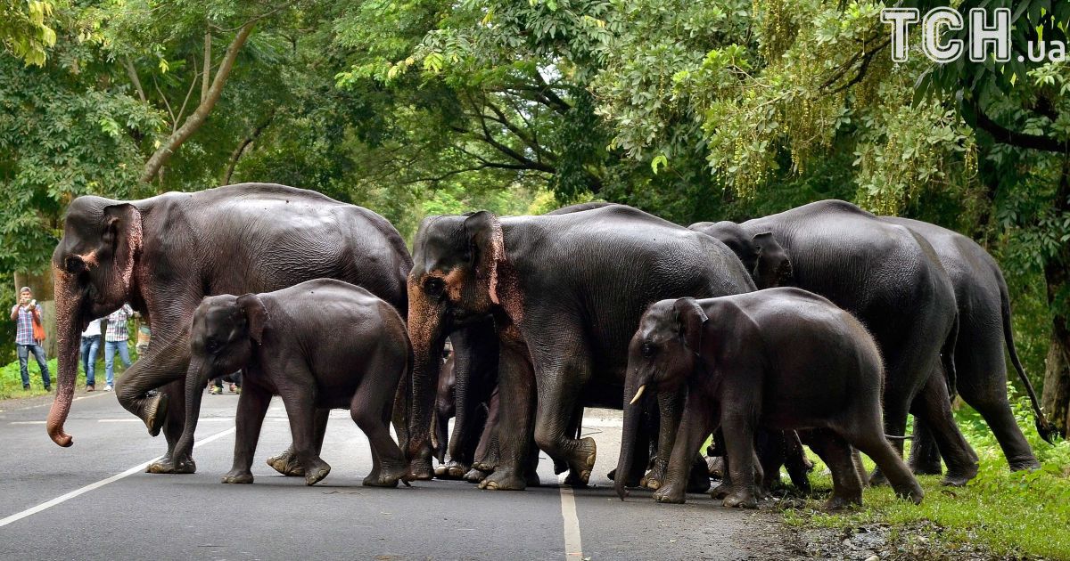 Повені в Індії_2 / © Reuters