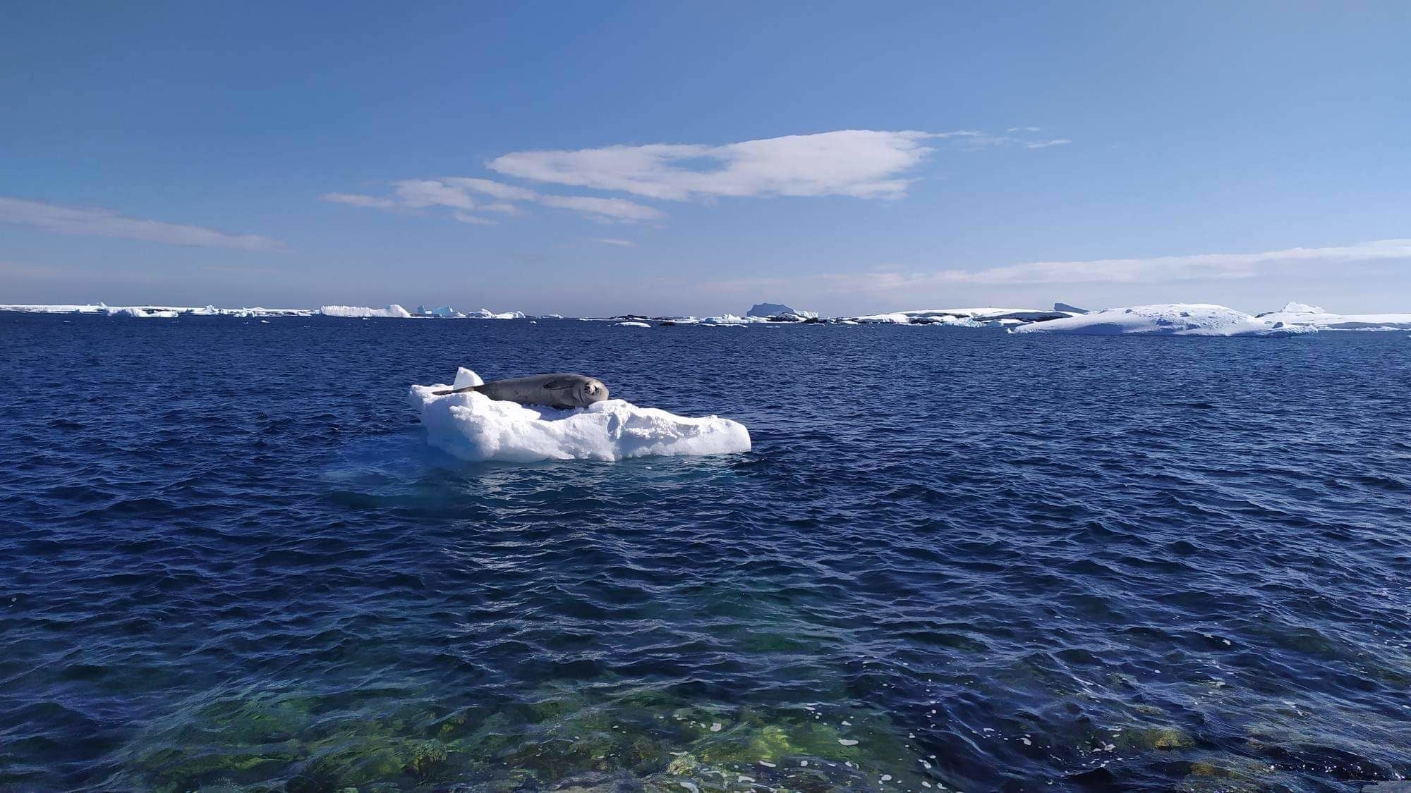 Фото: Андрій Зотов та Анна Соіна/facebook.com/AntarcticCenter / © 
