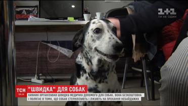 Киянин організував швидку медичну допомогу для собак