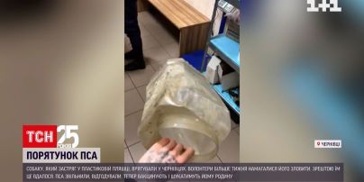 Новини Чернівців: волонтери розгорнули справжню пошукову операцію для порятунку собаки