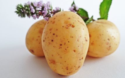 Украинская картошка дешевеет из-за Беларуси